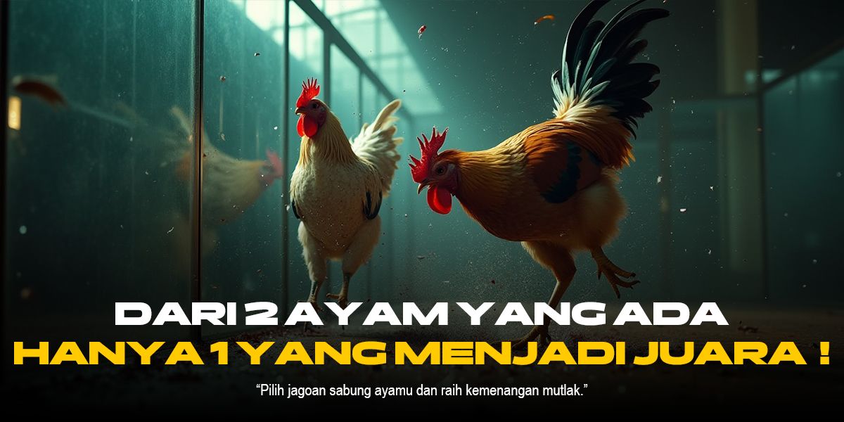 Panduan Lengkap Sabung Ayam SV388: Jenis Ayam, Odds & Provider Terpercaya